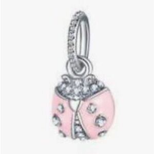 Pink and Silver Ladybug Charm #121